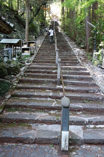 ��36�ԎD�� �ƌ؎R �Ɏɓ߉@ ����