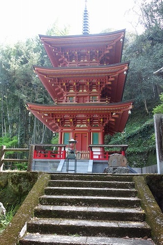 ��36�ԎD�� �ƌ؎R �Ɏɓ߉@ ����