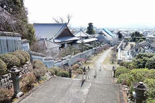 ��5�ԎD�� ���s�R �����@ �n����