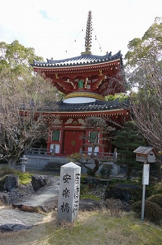 ���y���@����