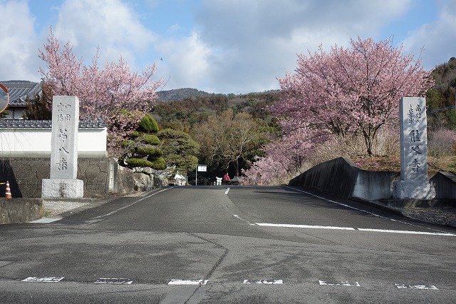 8�ԁ@�F�J��