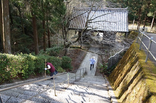 ��8�ԎD�� �����R �^���@ �F�J��