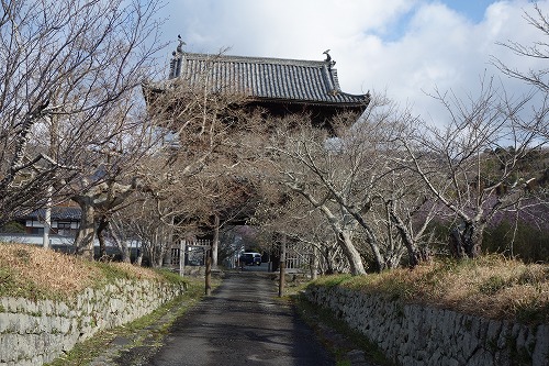 8�ԁ@�F�J��